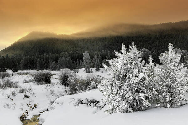 Winter Art Print featuring the photograph Winter Sunrise by Ronnie And Frances Howard
