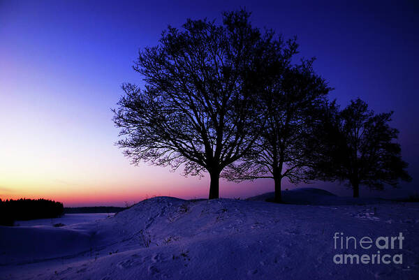 Winter Art Print featuring the photograph Winter Sunset by Hannes Cmarits