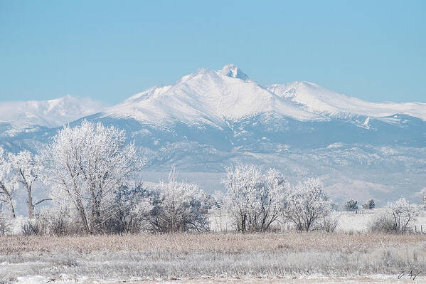 Winter Art Print featuring the photograph Winter Trees and Longs Peak by Aaron Spong