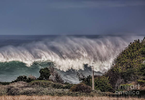 Waves Art Print featuring the photograph Winter Waves by Shirley Mangini