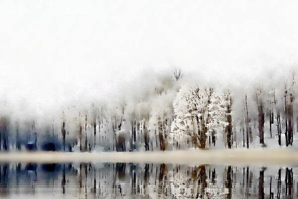 Winter Art Print featuring the photograph Winterscape by Andrea Kollo