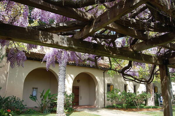 Wisteria Art Print featuring the photograph Wisteria Arbor by Carolyn Donnell