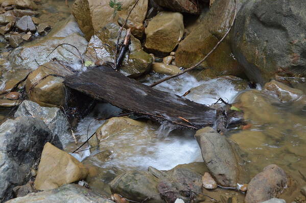 Wood Over Rushing Stream Art Print featuring the photograph Wood Over Rushing Stream by Warren Thompson