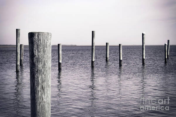 Wood Pilings Art Print featuring the photograph Wood Pilings in Monotone by Colleen Kammerer