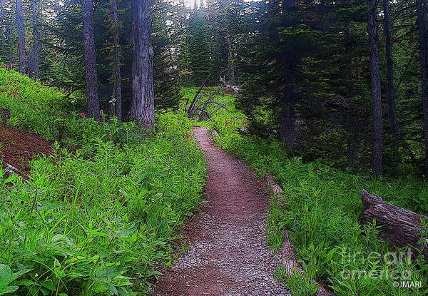  #alberta #nature  #pics #photography #fineart Art Print featuring the digital art Wooded Path by Jacquelinemari