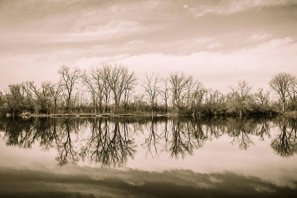 Forest Preserve Art Print featuring the photograph Woods of Wayne on Reflection by Joni Eskridge