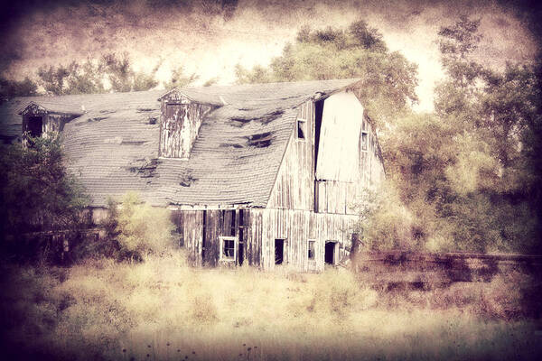 Barn Art Print featuring the photograph Worn Out by Julie Hamilton