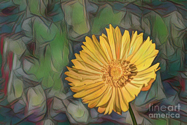 Coreopsis Art Print featuring the digital art Yellow Coreopsis by Elisabeth Lucas
