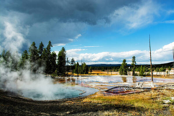 Yellowstone Art Print featuring the photograph Yellowstone Colors #1 by Scott Read