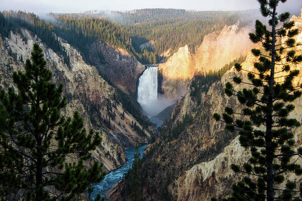 Grand Canyon Of The Yellowstone Art Print featuring the photograph Yellowstone Falls by Jennifer Ancker