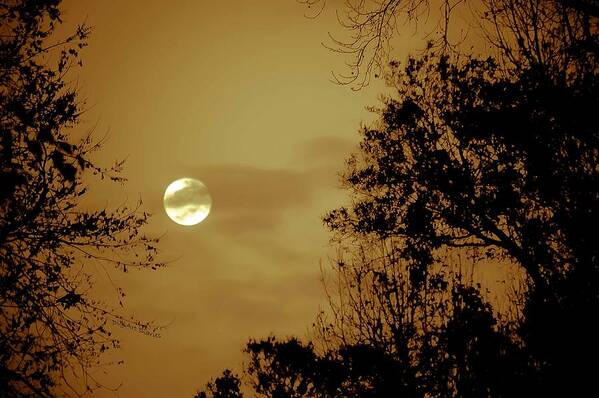 Moon Art Print featuring the photograph Yesteryears Moon by DigiArt Diaries by Vicky B Fuller