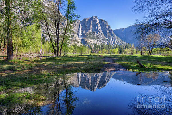 Yosemite Art Print featuring the photograph Yosemite Falls by Mimi Ditchie