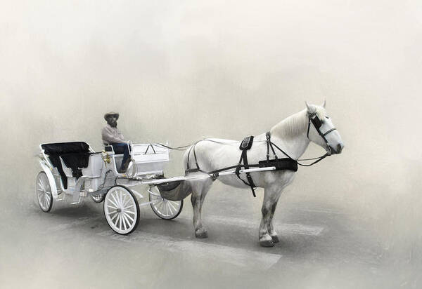 Animals Art Print featuring the photograph Your Carriage Awaits by David and Carol Kelly