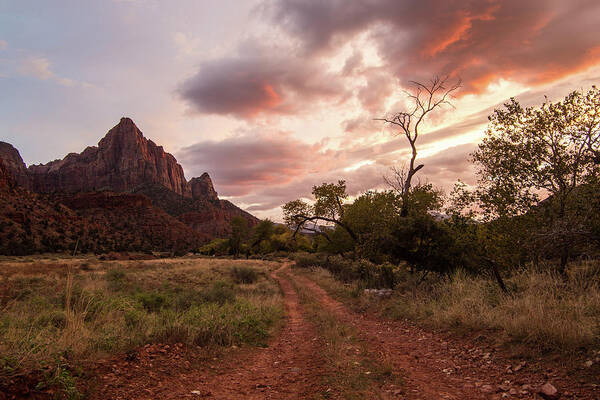 Zion Art Print featuring the photograph Zion Sunset by Wesley Aston