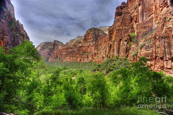 Zion National Park Art Print featuring the photograph Zion view of valley with trees by Dan Friend