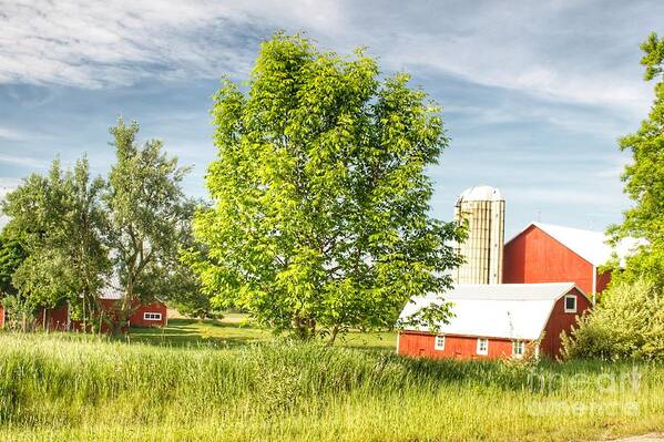 Barn Art Print featuring the photograph 0308 - Mt Morris Road Reds by Sheryl L Sutter