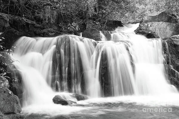 Smoky Mountains Art Print featuring the photograph Black And White Waterfall by Phil Perkins