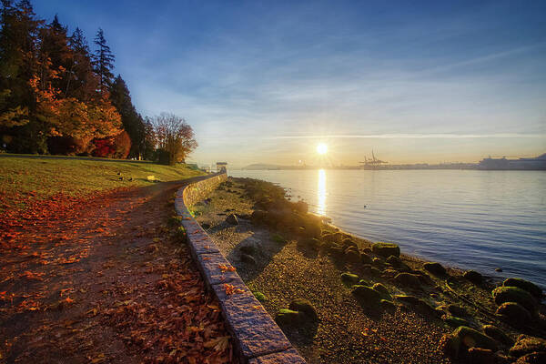 Autumn Art Print featuring the photograph Colorful Autumn Sunrise at Stanley Park #1 by Andy Konieczny