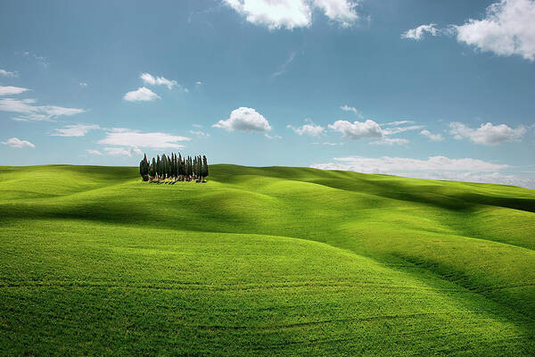 Scenics Art Print featuring the photograph Cypresses #1 by Bruno Ehrs