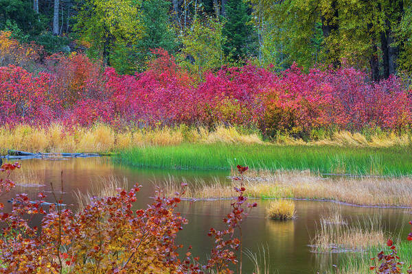 Outdoor; Fall; Colors; Autumn; River; Reflection; Nason Creek; Cascade; Central Cascade; Washington Beauty; Pacific North West; Washington; Washington State Art Print featuring the digital art Fall Colors in Central Cascade #1 by Michael Lee