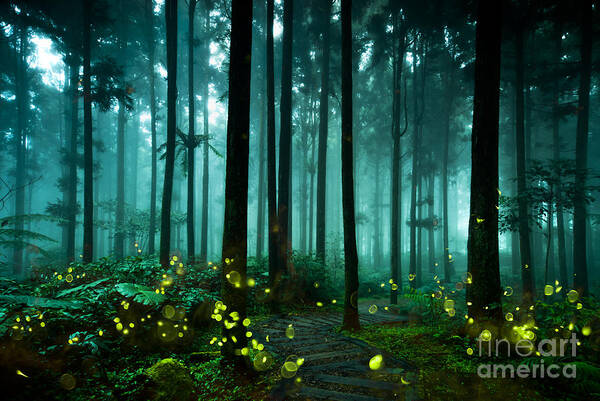 Through Art Print featuring the photograph Firefly by Htu