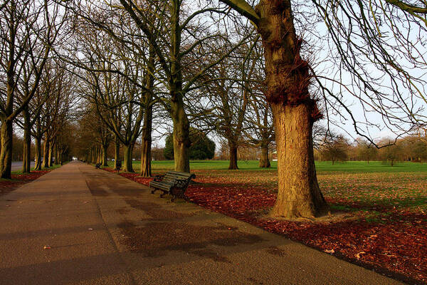 London Art Print featuring the photograph Greenwich Park, London #1 by Aidan Moran