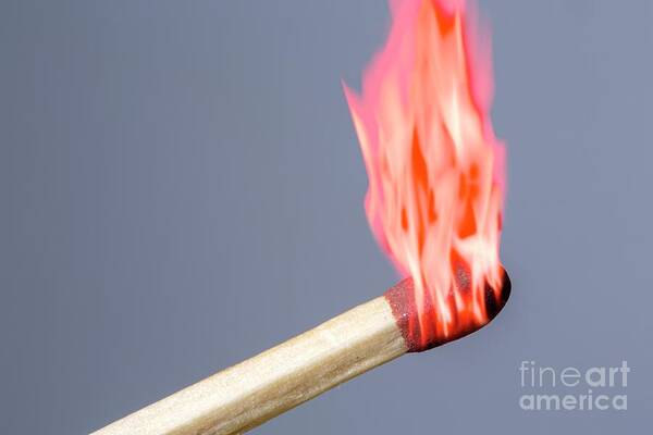 Burning Art Print featuring the photograph Lit Match #1 by Victor De Schwanberg/science Photo Library