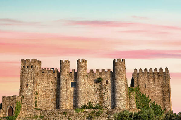 Medieval Art Print featuring the photograph Medieval Castle of Obidos by David Letts