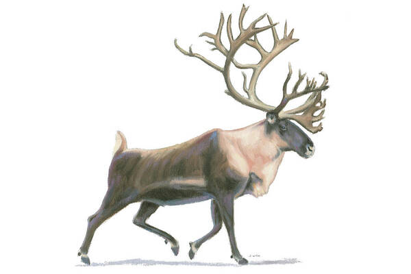 Animal Art Print featuring the painting Northern Wild Iv #1 by James Wiens