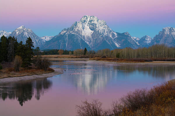 Oxbow Art Print featuring the photograph Oxbow Bend At Sunrise In Grand Tetons #1 by Patrick Nowotny