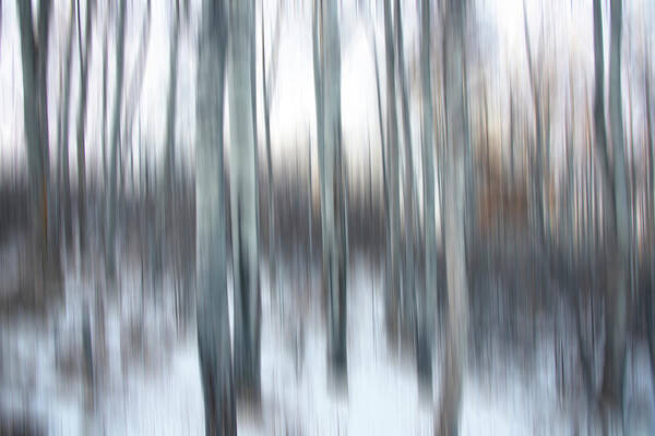 2018-12-19 Art Print featuring the photograph Poplar Blur #2 by Phil And Karen Rispin