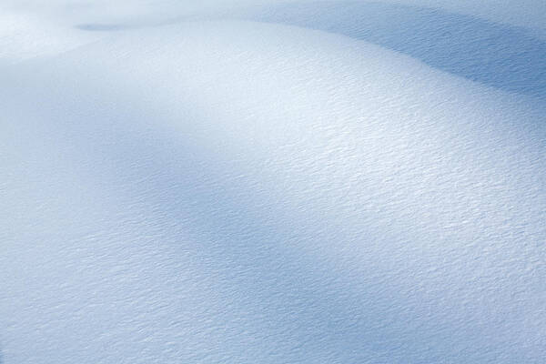Snow Art Print featuring the photograph Snow #1 by Malerapaso