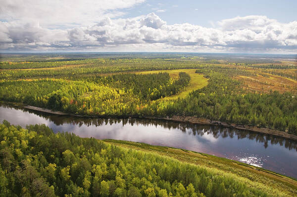 Cedar Tree Art Print featuring the photograph Taiga. Western Siberia #1 by Pro-syanov