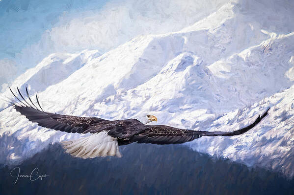 Alaska Art Print featuring the photograph To the Hills... #1 by James Capo