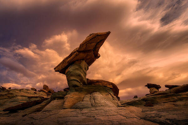 Stone Art Print featuring the photograph Together Alone #1 by Chris Moore