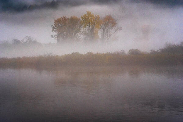 The Brattleboro Retreat Meadows Art Print featuring the photograph Trees In Fog #1 by Tom Singleton