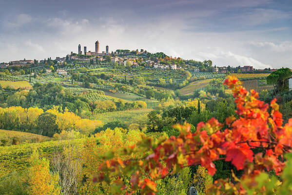 Estock Art Print featuring the digital art Tuscany, View Of San Gimignano, Italy #1 by Stefano Coltelli