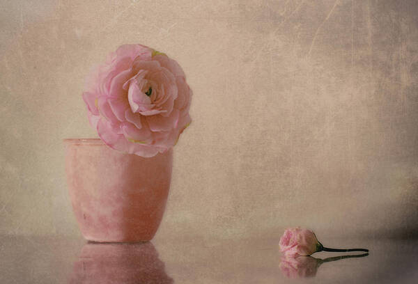 Pink Art Print featuring the photograph Untitled #1 by Elena Arjona
