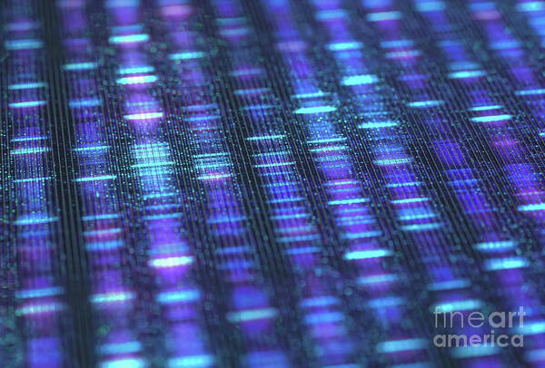 Dna Art Print featuring the photograph Dna Sequencing #10 by Ktsdesign/science Photo Library