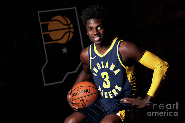 Aaron Holiday Art Print featuring the photograph 2018-19 Indiana Pacers Media Day by Ron Hoskins