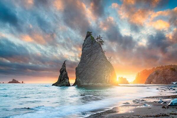 Landscape Art Print featuring the photograph Olympic National Park, Washington, Usa #15 by Sean Pavone