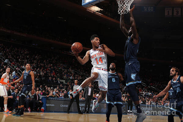 Nba Pro Basketball Art Print featuring the photograph Memphis Grizzlies V New York Knicks by Nathaniel S. Butler