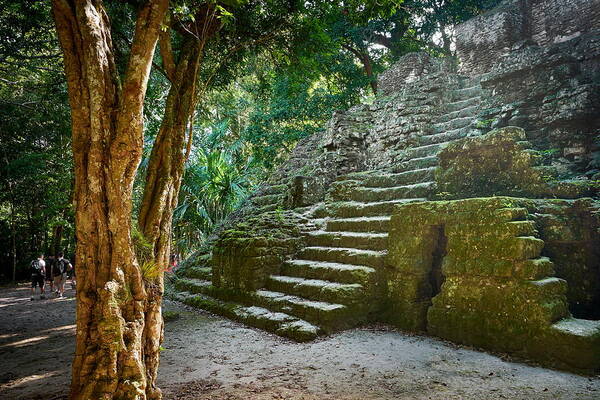 Landscape Art Print featuring the photograph Ancient Maya Ruins, Tikal National #2 by Jan Wlodarczyk