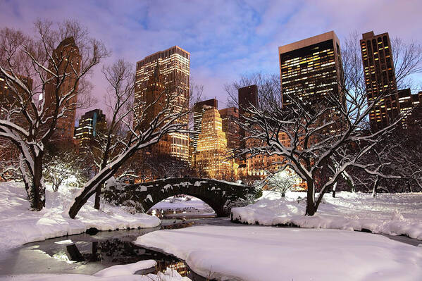 Snow Art Print featuring the photograph Winter In New York City #2 by Denistangneyjr