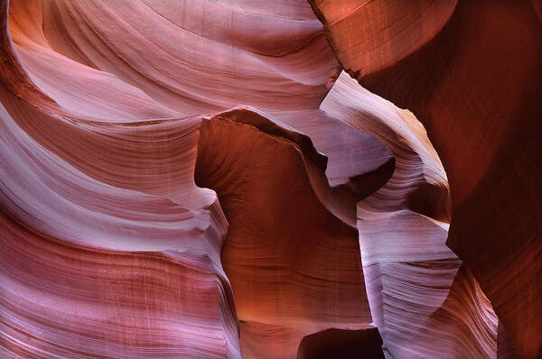 Antelope Canyon Art Print featuring the photograph Abstract Sandstone Sculptured Canyon #21 by Mitch Diamond