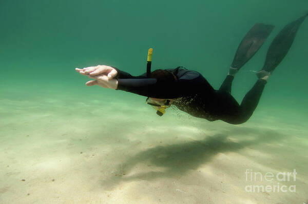 Action Art Print featuring the photograph Free Diver #3 by Microgen Images/science Photo Library