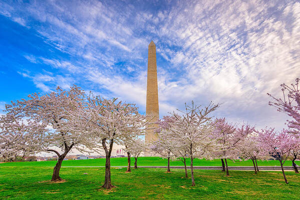 Landscape Art Print featuring the photograph Washington Dc, Usa In Spring Season #3 by Sean Pavone