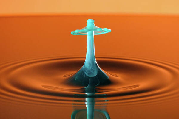 Drop Art Print featuring the photograph Water Drop #6 by Nicole Young