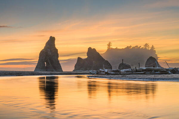 Landscape Art Print featuring the photograph Olympic National Park, Washington, Usa #4 by Sean Pavone