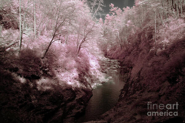 0709 Art Print featuring the photograph Infrared #5 by FineArtRoyal Joshua Mimbs